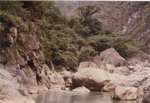 Looking upstream at the end of a long portage where the river disappeared
