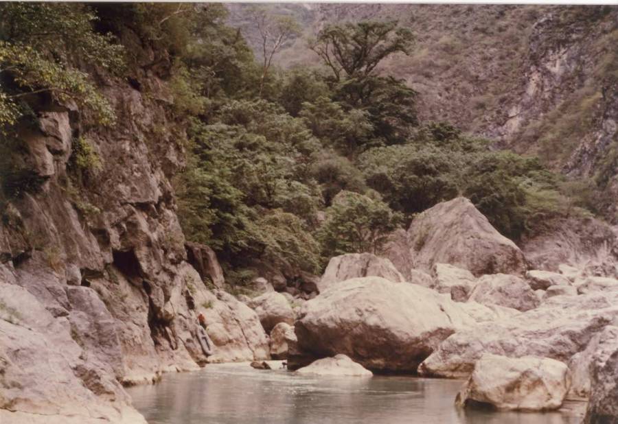 Looking upstream at the end of a long portage where the river disappeared