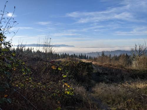 Bay view covered with clouds/fog