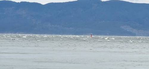 Whitecaps (calm water in front because of protection from East wind)