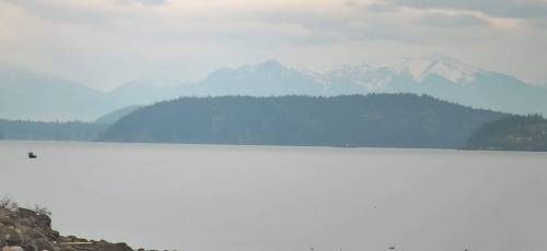 Bay with Olympics in the background