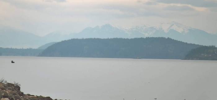 Bay with Olympics in the background