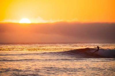 surfing.jpeg